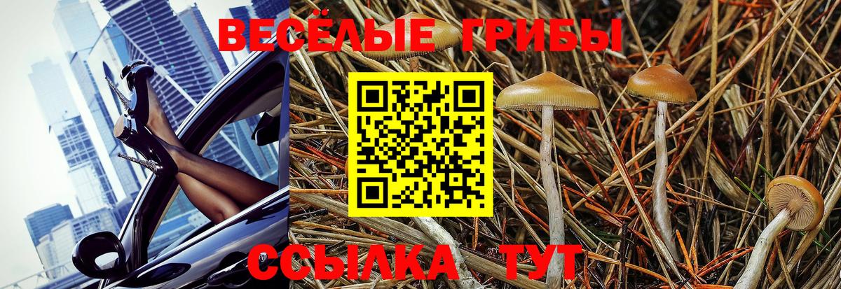 Мирный  Галлюциногенные грибы Psilocybine cubensis  Вход с VPN 