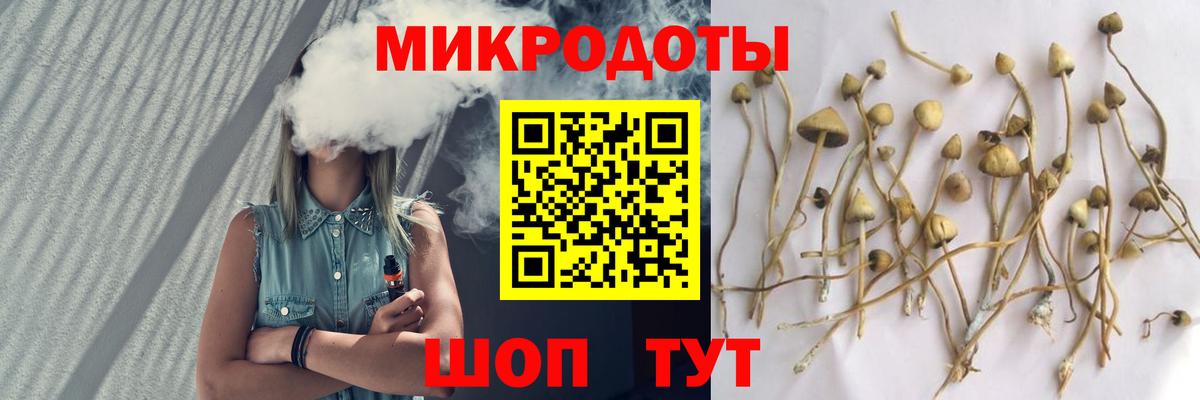 Псилоцибиновые грибы мицелий Мирный
